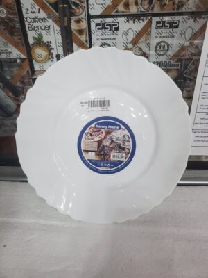 صحون 36 داني LBP100