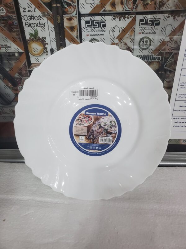 صحون 36 داني LBP100