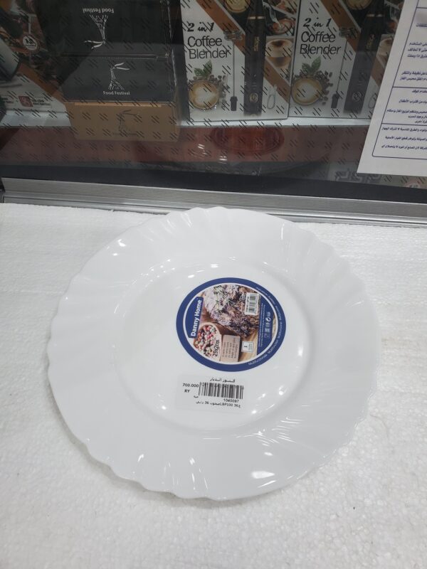 صحون 36 داني LBP100