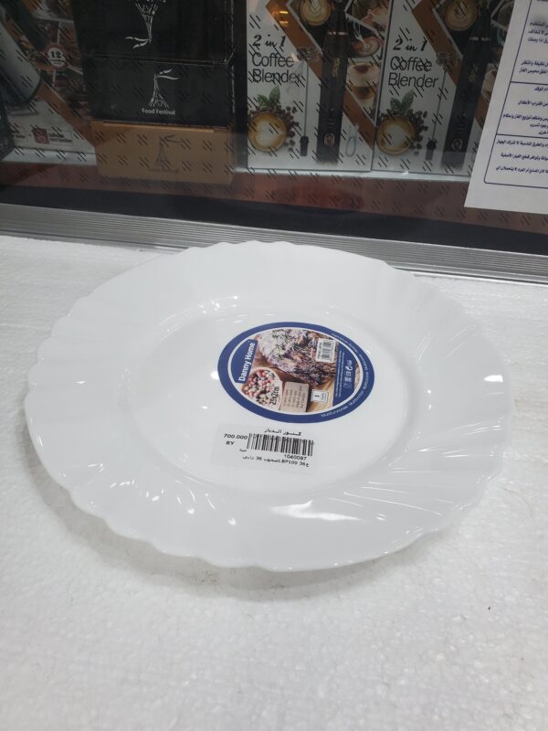 صحون 36 داني LBP100